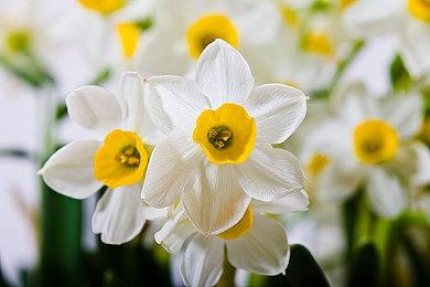 小岛秀夫亮相戛纳电影节 《死亡搁浅2》新画面曝光